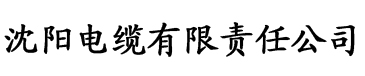 小唐璜恋爱史完整版电缆厂logo